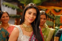 Shriya Beautiful Photos